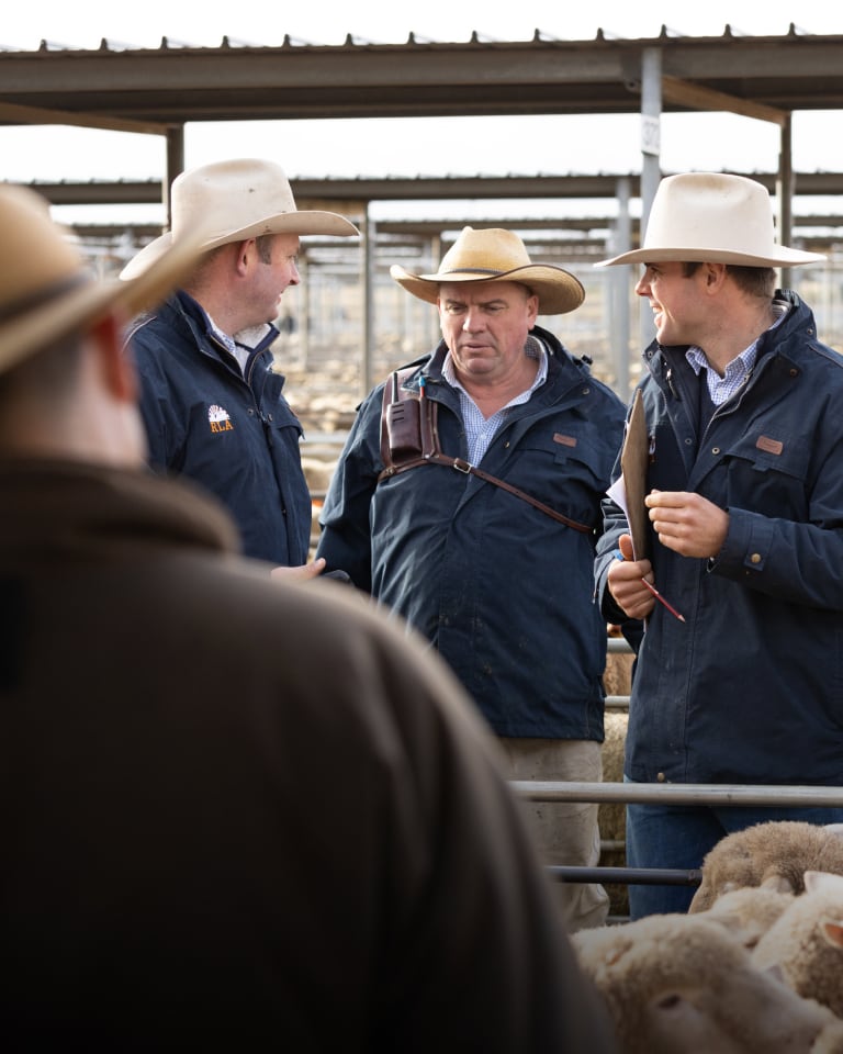 Riverina Livestock Agents